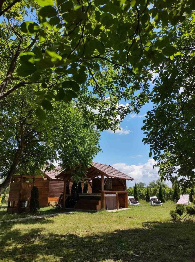 Brvnara Aurora Vista Villa Velika Remeta Exterior photo