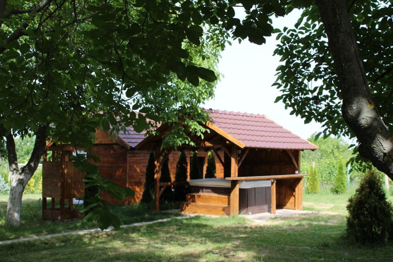 Brvnara Aurora Vista Villa Velika Remeta Exterior photo